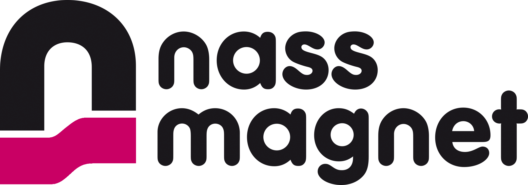 nass magnet Hungária Kft.